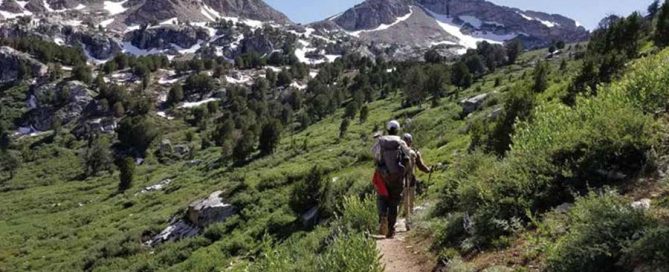 wilderness areas