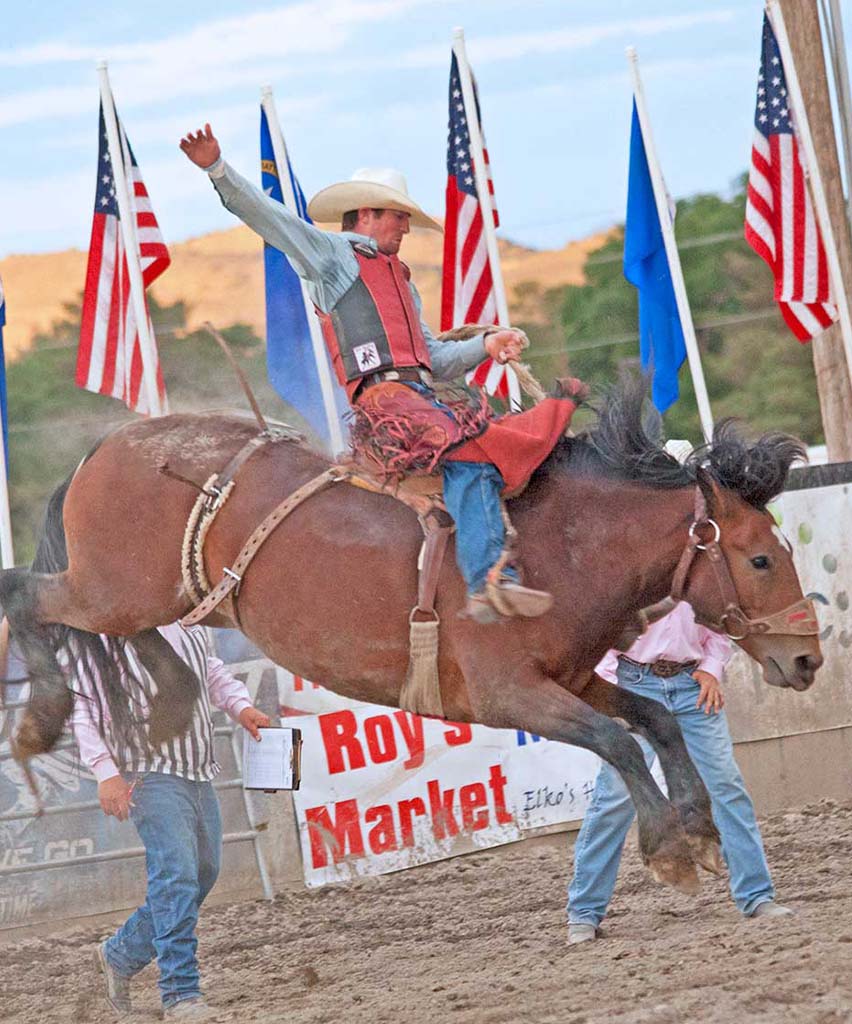 elko silver state stampede