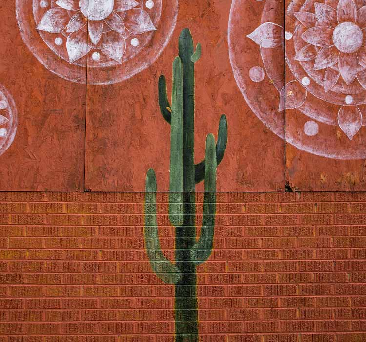 cactus mural