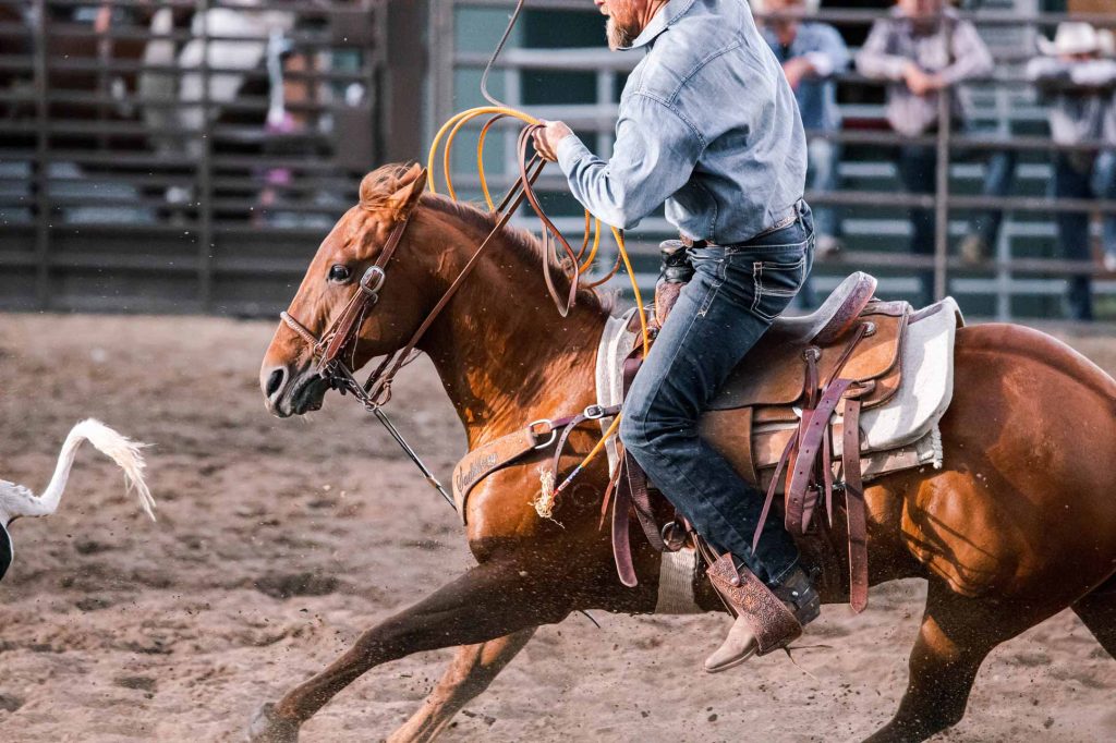 elko county fair horse racing