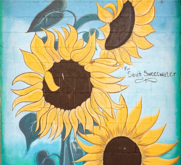 Elko Murals Sunflowers
