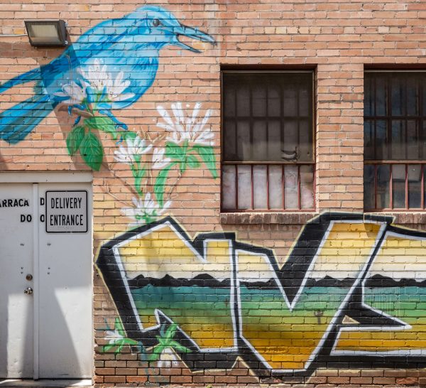 Elko Mural Mountain Bluebird