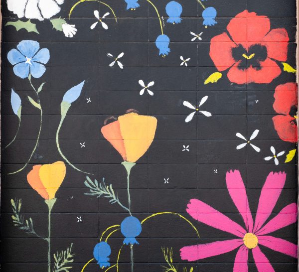 Elko Murals Wildflowers