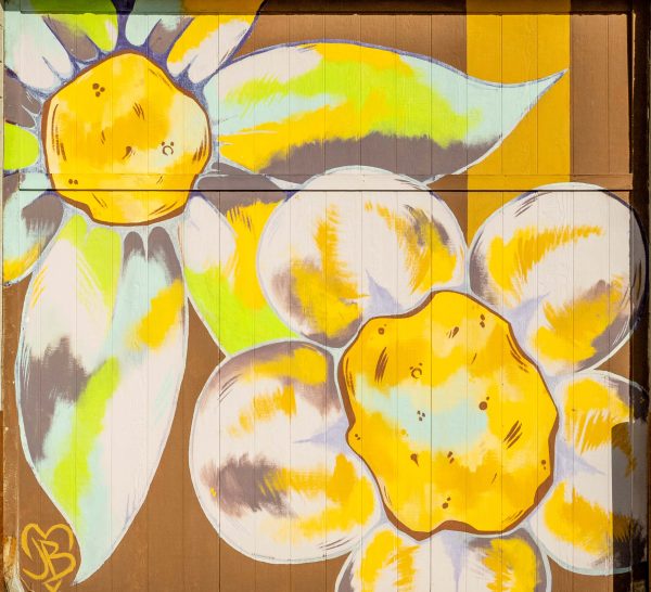 Elko Mural Flower Power