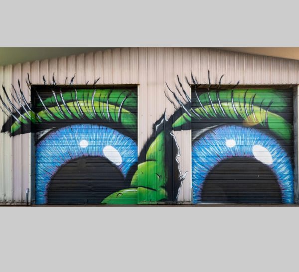 Elko Murals I See You