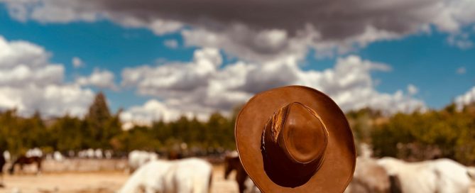 Person in a brown cowboy hat and coat watching horses in a dusty corral under a dramatic, cloud-filled sky.
