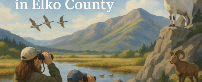 Wildlife watchers observe birds and mountain animals in a scenic wetland landscape near the Ruby Mountains in Elko County, Nevada.